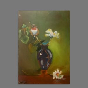 Limited Edition Collection